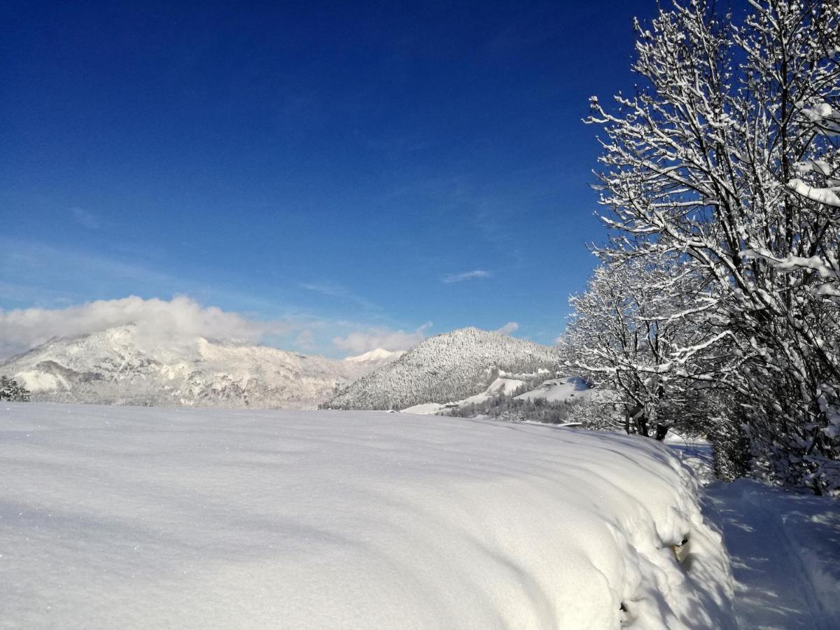 Tramberger Apartments Reith im Alpbachtal Luaran gambar